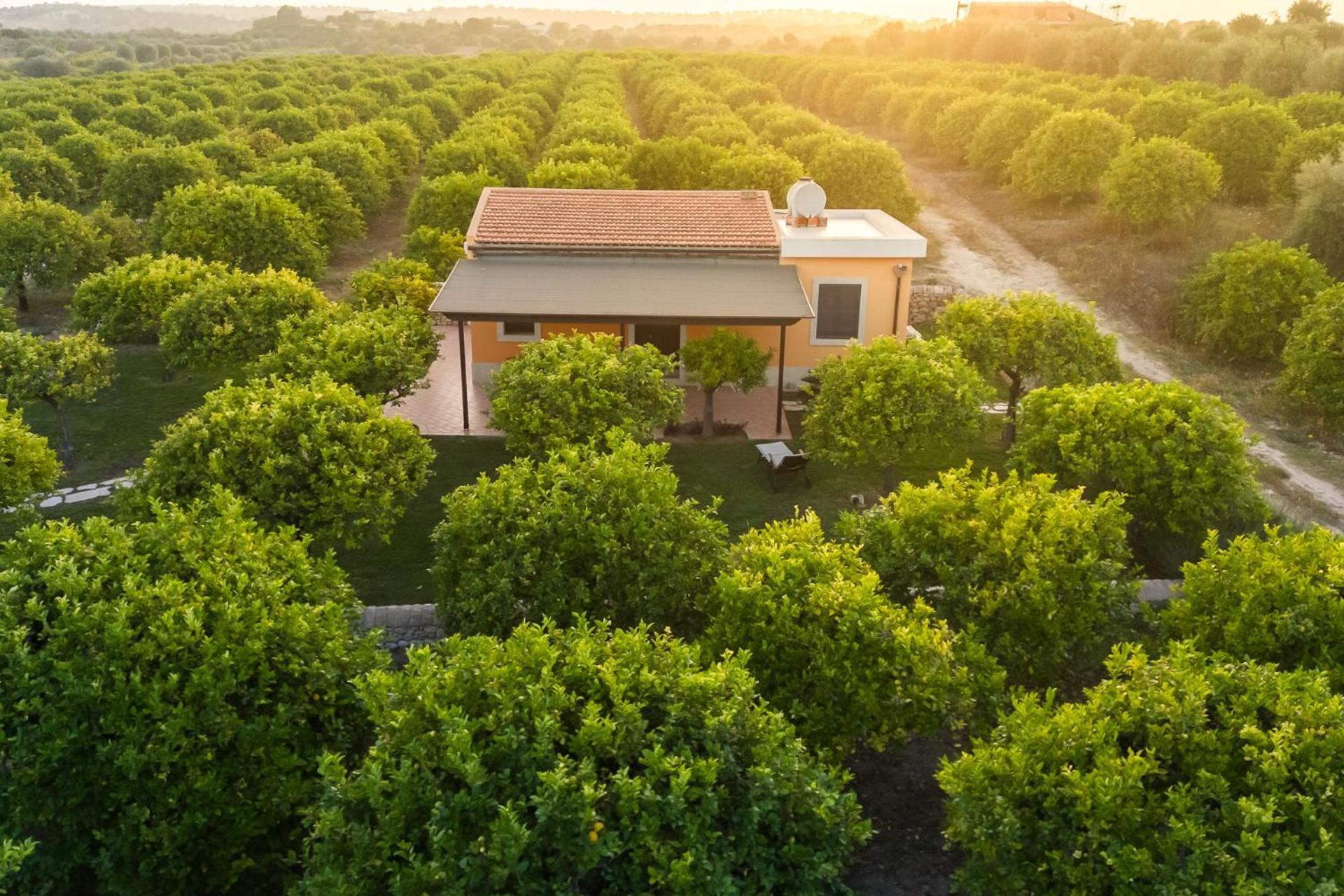 Fiore Di Vendicari B&B - Sicilian Charme, Lemon Grove And Sea Noto Exterior photo